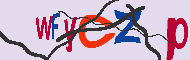 Codice captcha