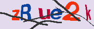 Codice captcha