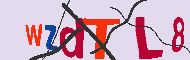 Codice captcha