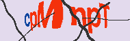 Codice captcha