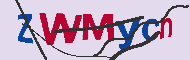 Codice captcha