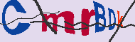 Codice captcha