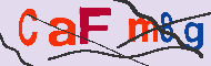 Codice captcha