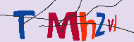 Codice captcha