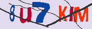 Codice captcha