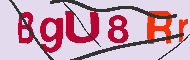 Codice captcha