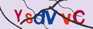 Codice captcha