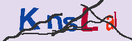 Codice captcha