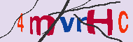 Codice captcha