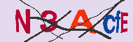 Codice captcha
