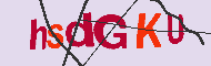 Codice captcha