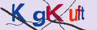 Codice captcha