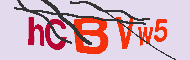Codice captcha