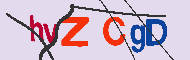 Codice captcha