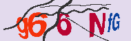 Codice captcha