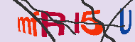 Codice captcha