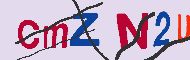 Codice captcha