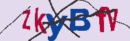 Codice captcha