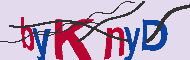 Codice captcha